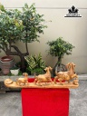 tuong-gia-dinh-de-go-ngoc-am-cao-35-ngang-100-sau-12-cm-461044