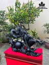 tuong-nhat-long-go-mun-sung-cao-ca-ky-63-rieng-tuong-cao-52-ngang-76-sau-30-cm-462361