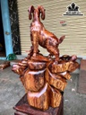 tuong-tam-duong-khai-thai-go-cam-cao-77-ngang-63-sau-30-cm-463990