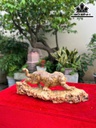 tuong-bao-san-moi-go-nu-nghien-cao-14-ngang-39-sau-10-cm-464045