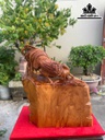 tuong-ga-trong-go-nu-ngoc-am-cao-57-ngang-48-sau-30-cm-464053