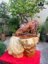 tuong-ga-trong-go-nu-ngoc-am-cao-57-ngang-48-sau-30-cm-464054