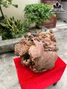 tuong-phat-di-lac-tam-phuc-go-nu-ngoc-am-cao-42-ngang-55-sau-38-cm-464078