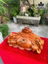 tuong-tam-coc-ngam-tien-go-huong-cao-23-ngang-41-sau-22-cm-464082