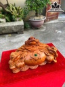 tuong-tam-coc-ngam-tien-go-huong-cao-23-ngang-41-sau-22-cm-464083