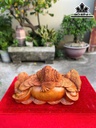 tuong-tam-coc-ngam-tien-go-huong-cao-23-ngang-41-sau-22-cm-464084