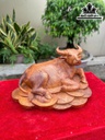 tuong-trau-go-huong-cao-20-ngang-35-sau-22-cm-464101