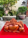 tuong-tam-coc-ngam-tien-go-huong-cao-28-ngang-42-sau-21-cm-464210