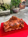 tuong-tam-coc-ngam-tien-go-huong-cao-28-ngang-42-sau-21-cm-464212