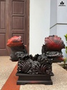 tuong-ca-xiem-doi-go-trac-cao-57-ngang-55-sau-24-cm-464224