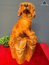 tuong-cho-go-huong-cao-70-ngang-36-sau-31-cm-464297