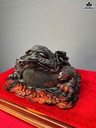 tuong-thiem-thu-go-trac-cao-28-ngang-53-sau-50-cm-464407
