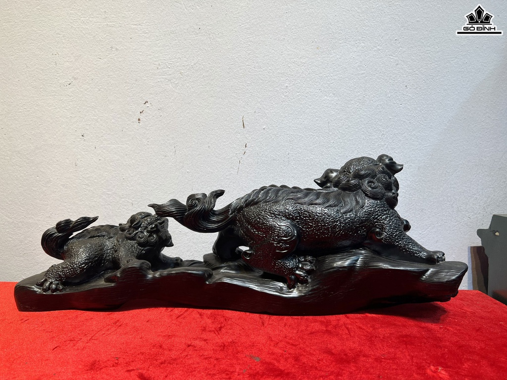 cau-nghe-go-mun-sung-cao-21-ngang-48-sau-16-cm-464414