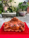Tượng Tam Cóc Ngậm Tiền Gỗ Hương Cao 28 Ngang 42 Sâu 21 (cm)